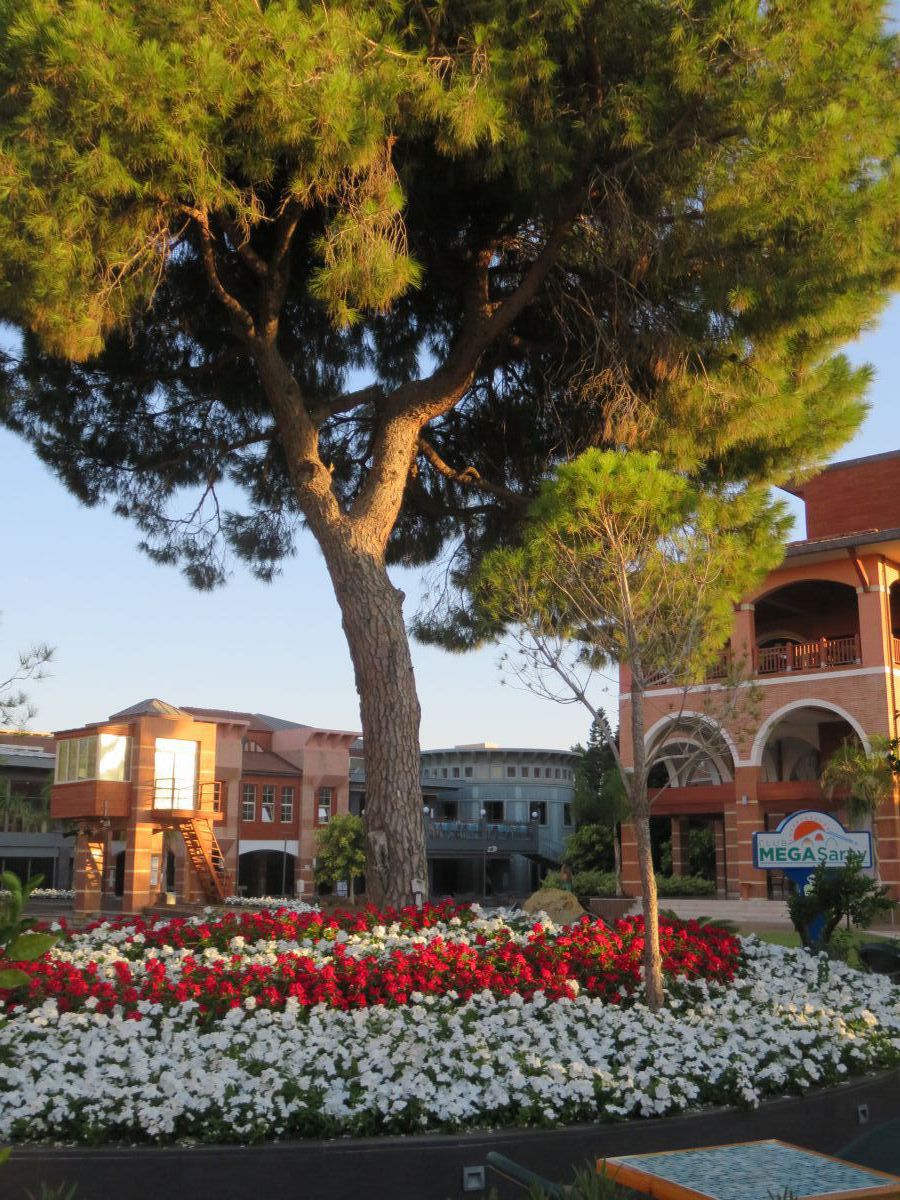 imagini hotel MEGASARAY 2021